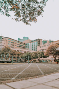 brown and white concrete building near green trees during daytime