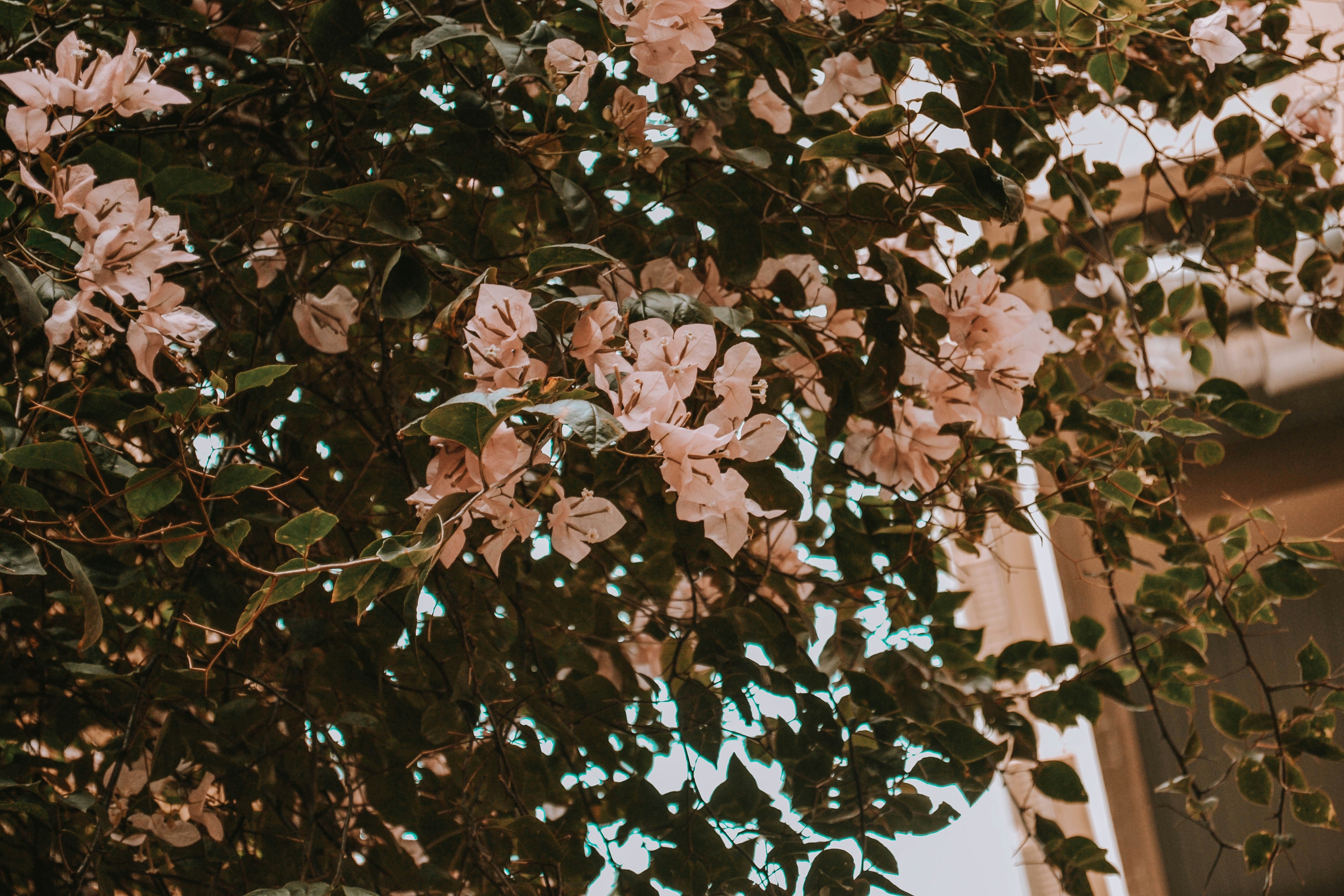 Photo by wanderfleur