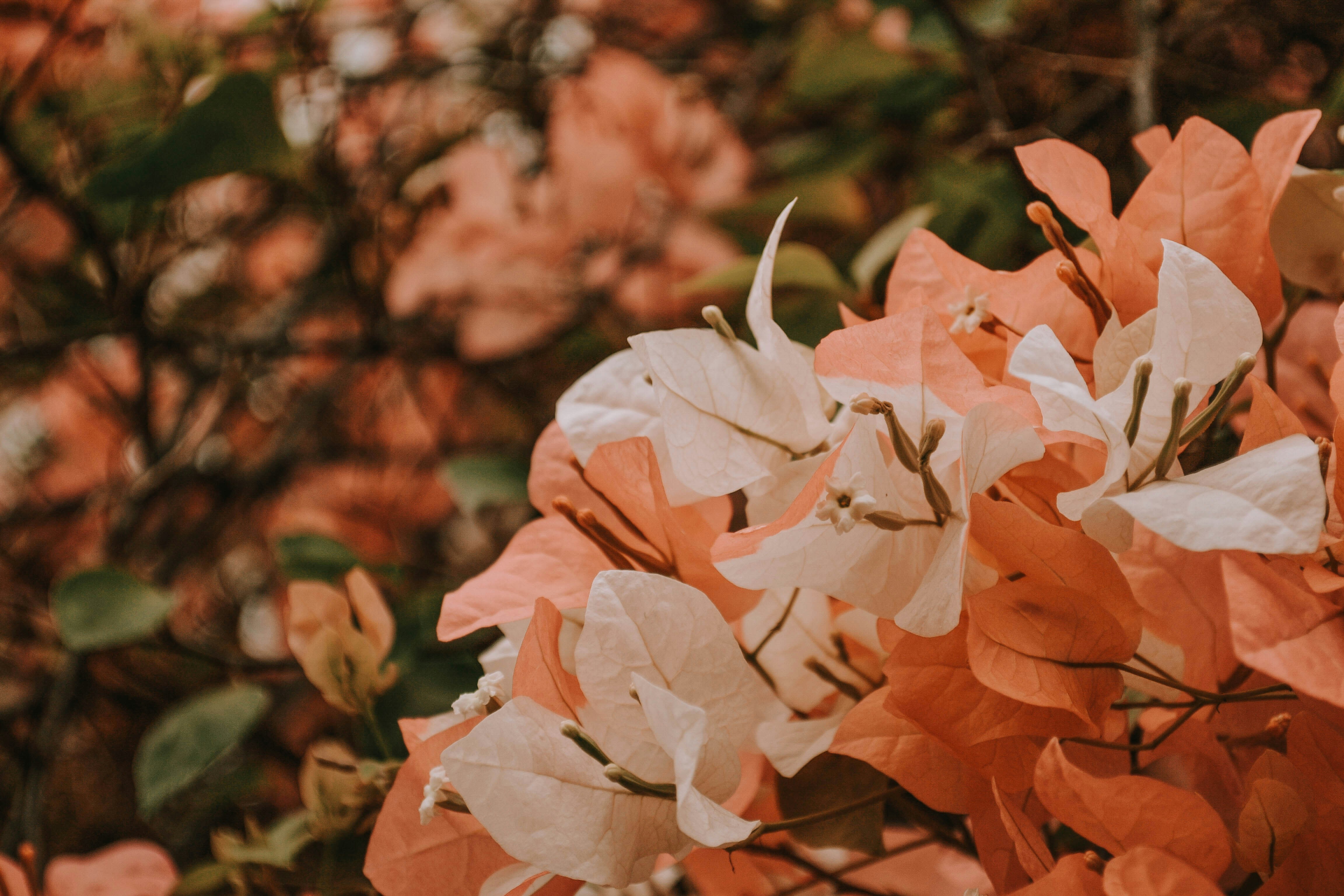 Photo by wanderfleur