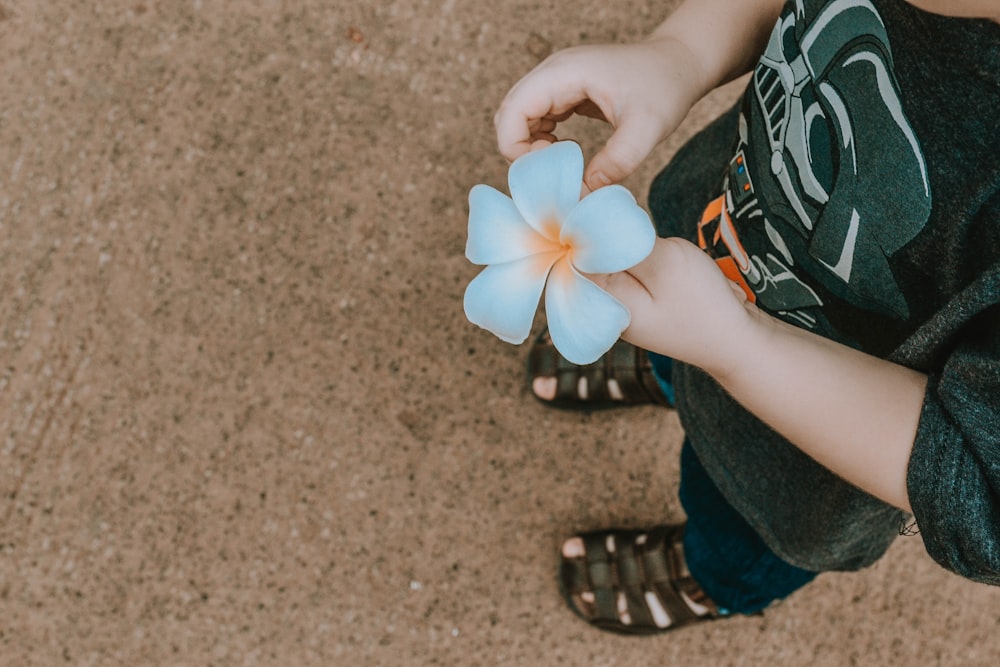 person holding white and yellow flower