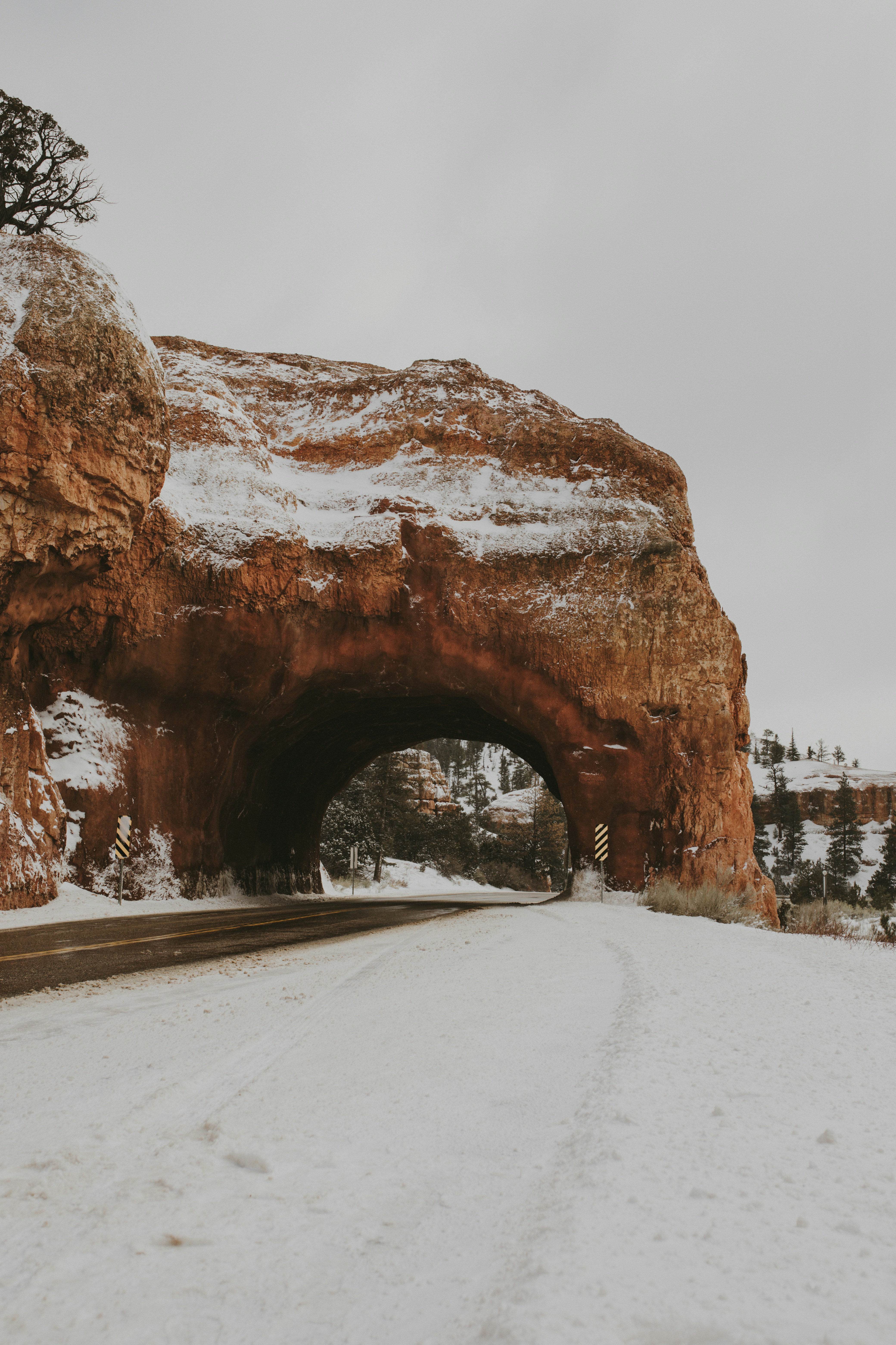 brown rock formation on snow covered ground during daytime