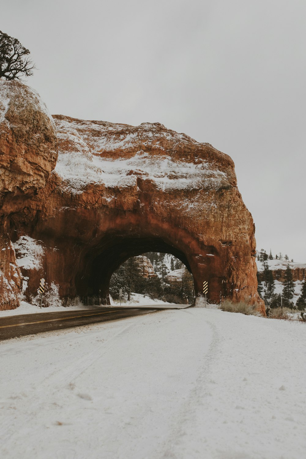 brown rock formation on snow covered ground during daytime