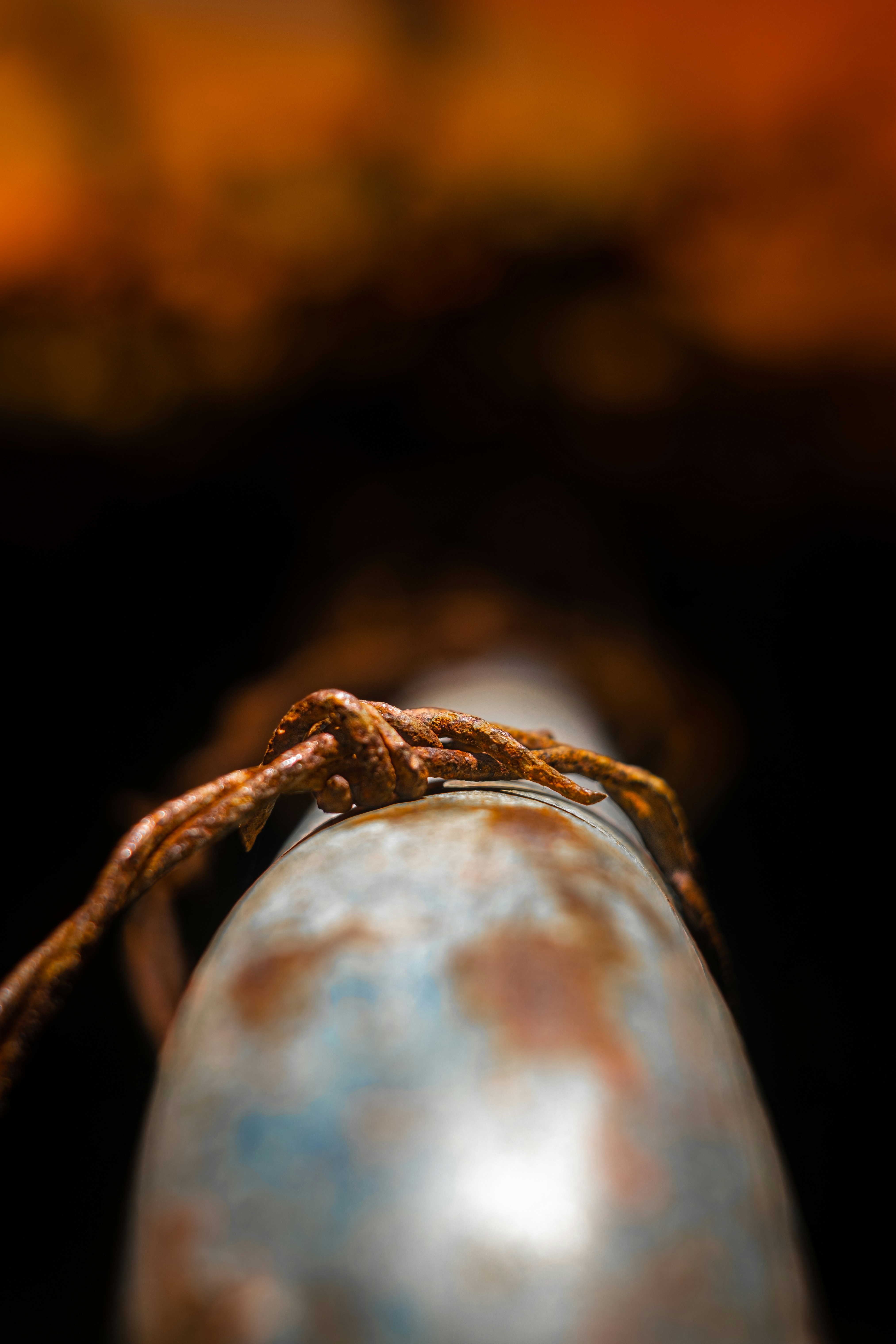 brown rope in close up photography