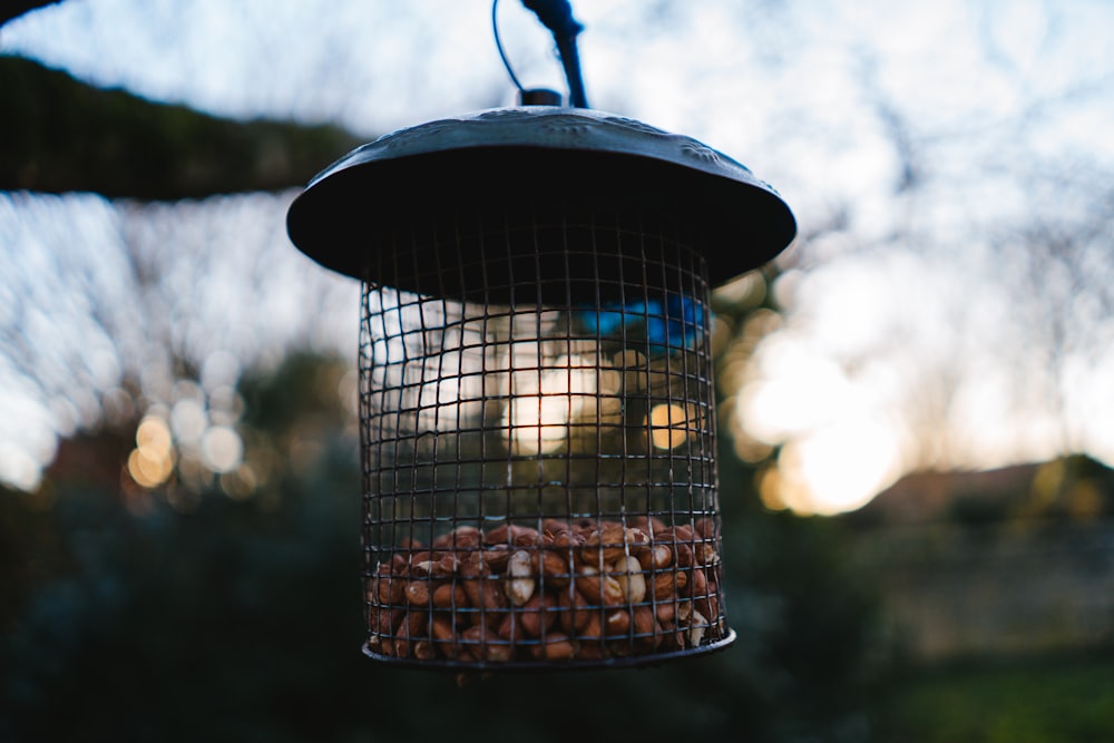 black and brown bird cage