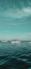 white boat on sea under blue sky during daytime