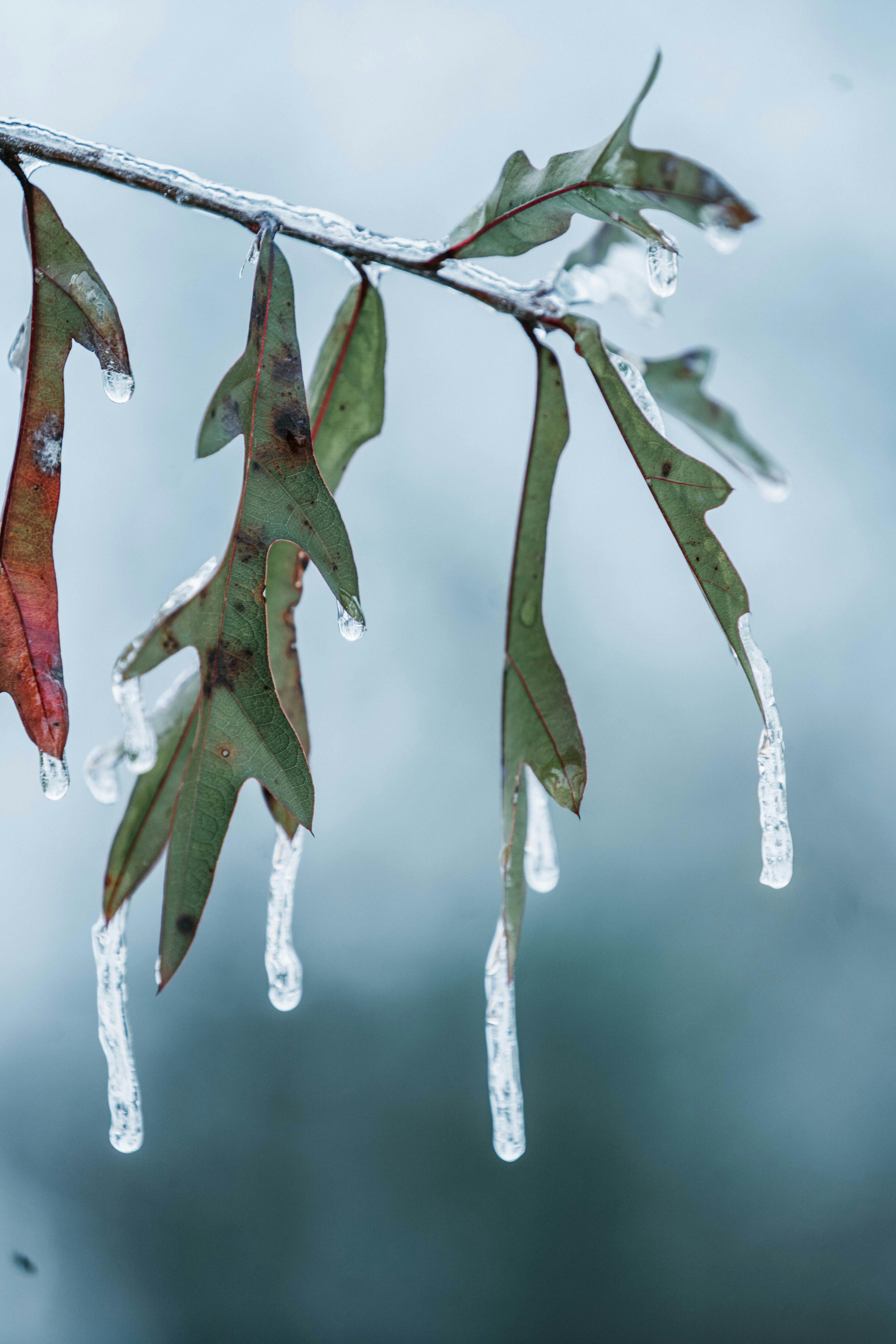 Photo by austin__ramsey