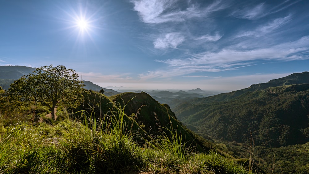 green grass field and mountains under blue sky during daytime