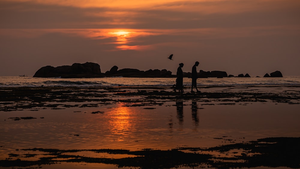 silhouette of 2 people standing on seashore during sunset