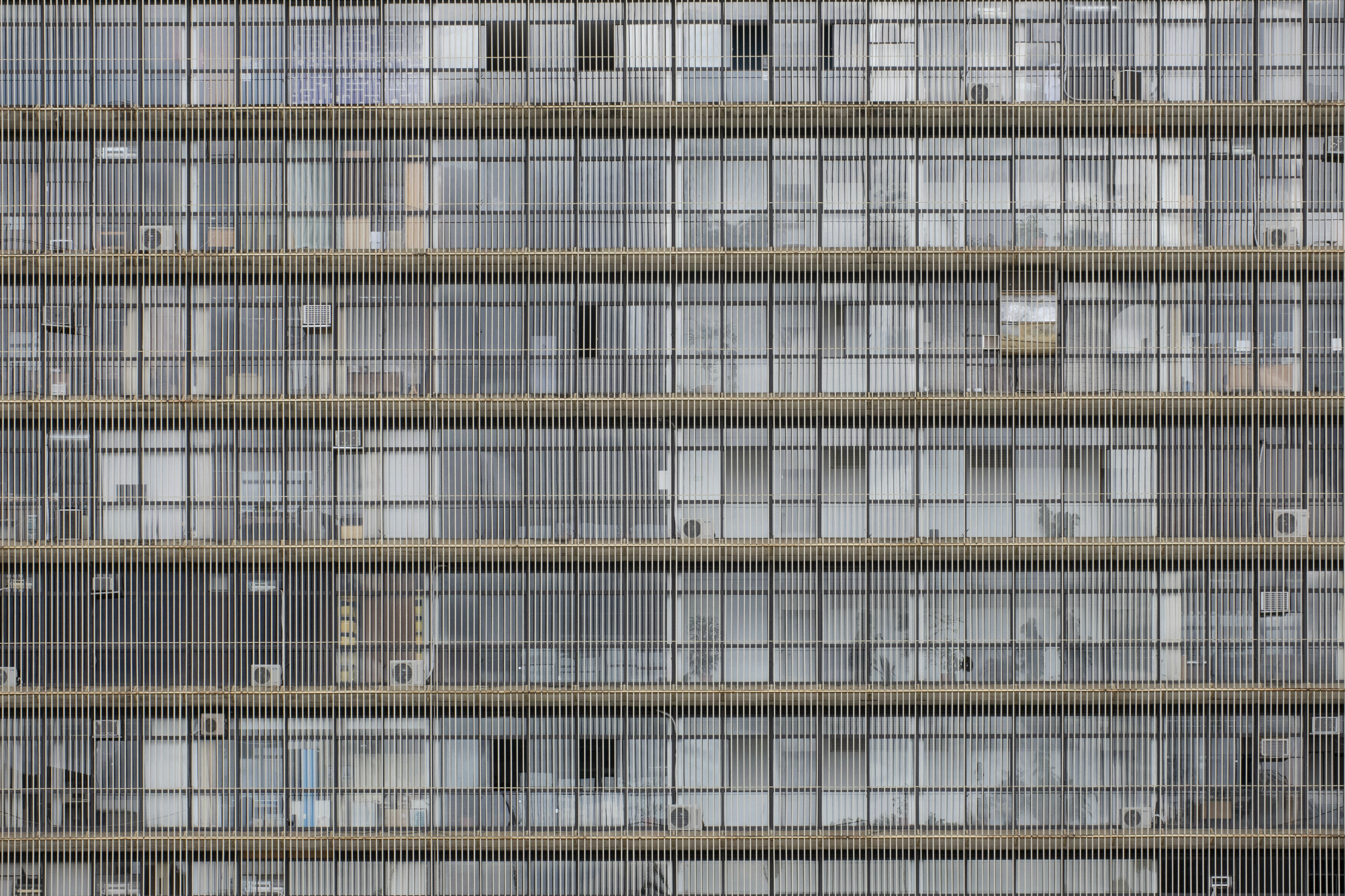 Borrador automático