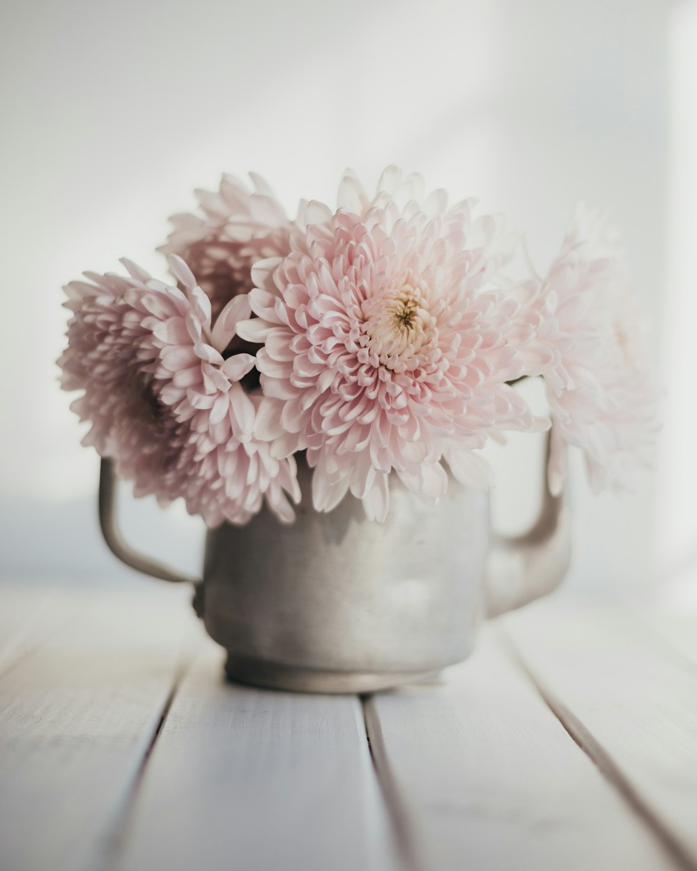 pink and white flower in white ceramic vase