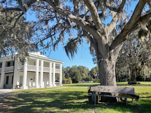 Florida park historic white wooden house by oak tree during daytime