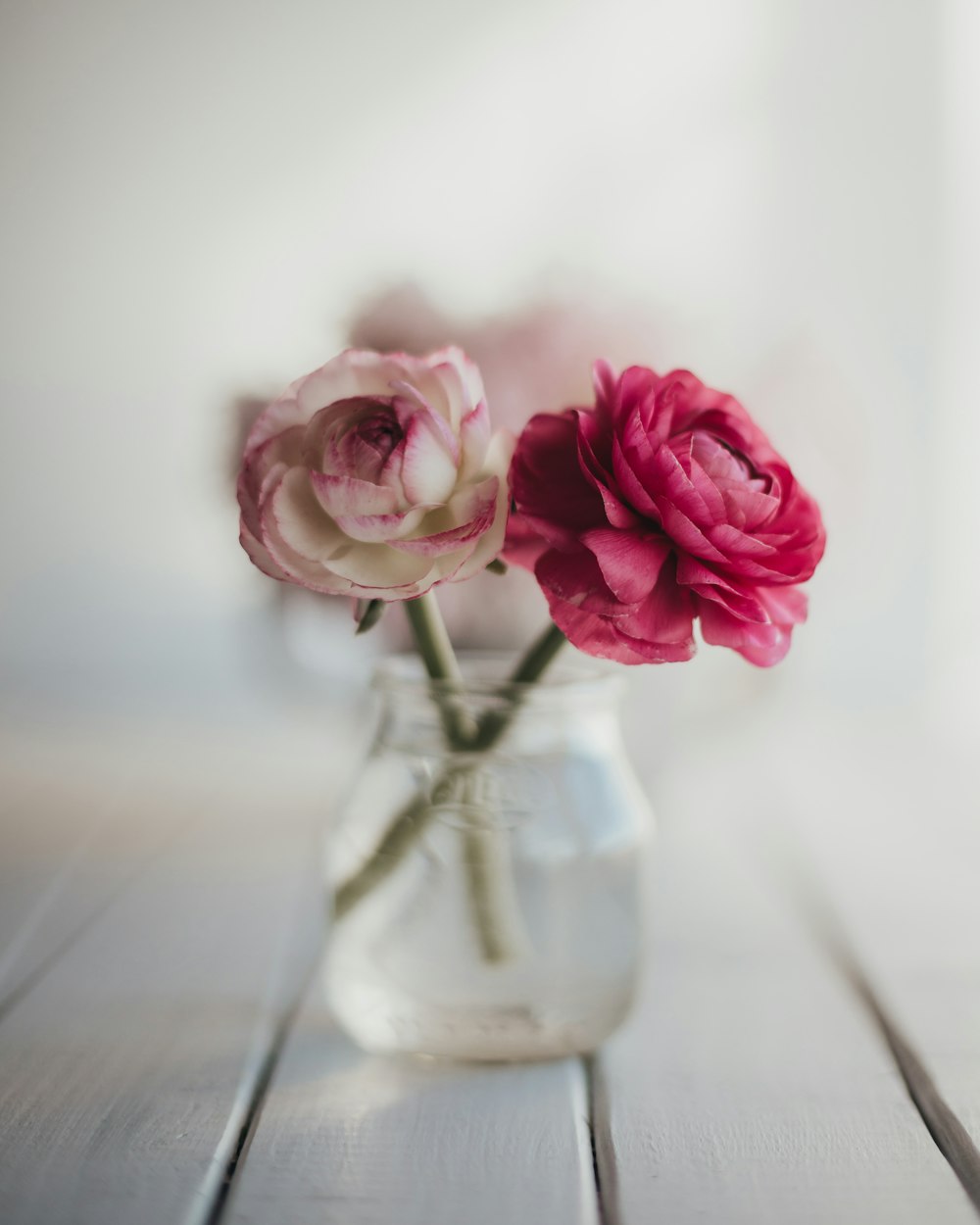 pink rose in clear glass vase