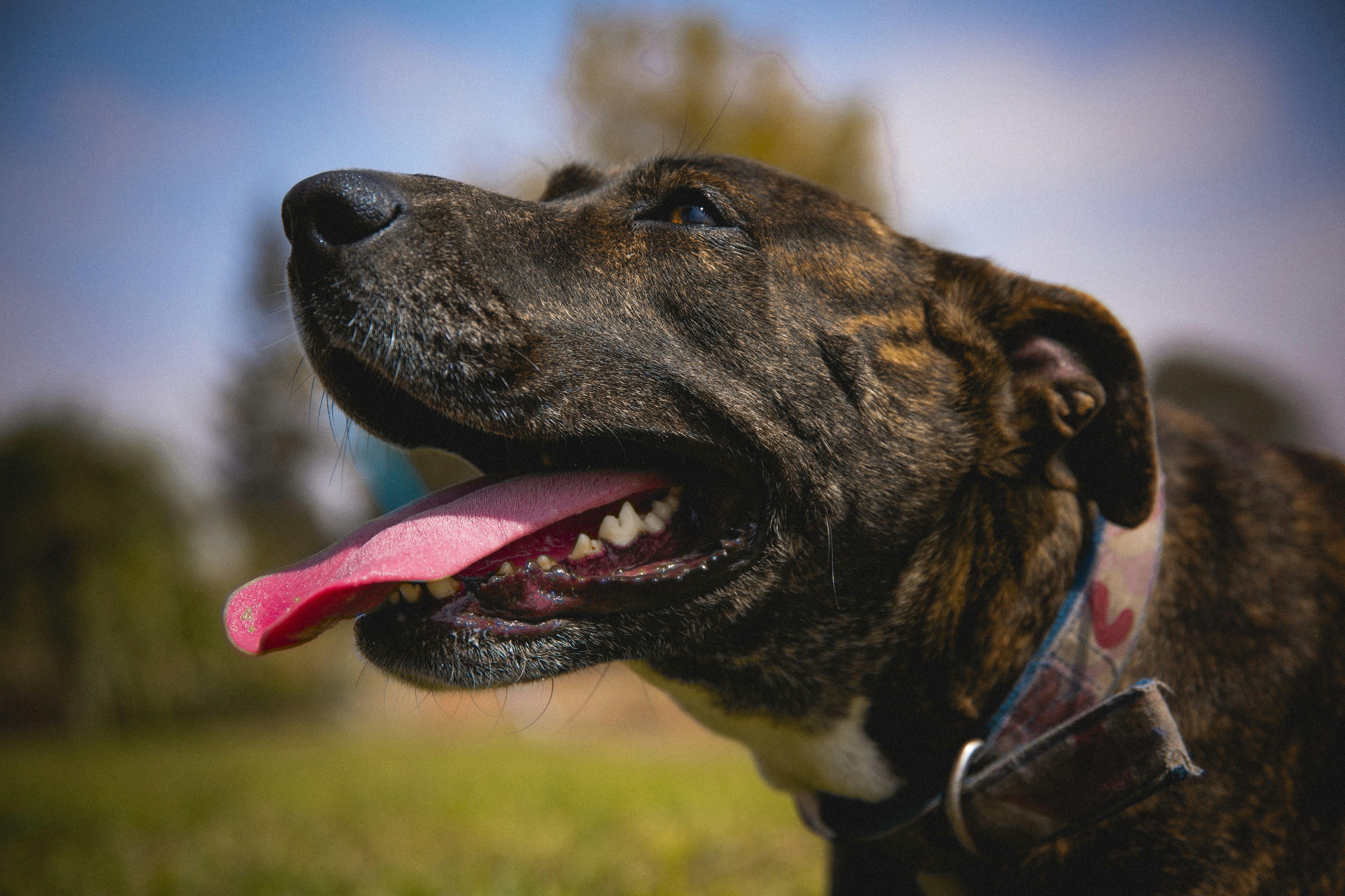 Photo by xapalacioscx