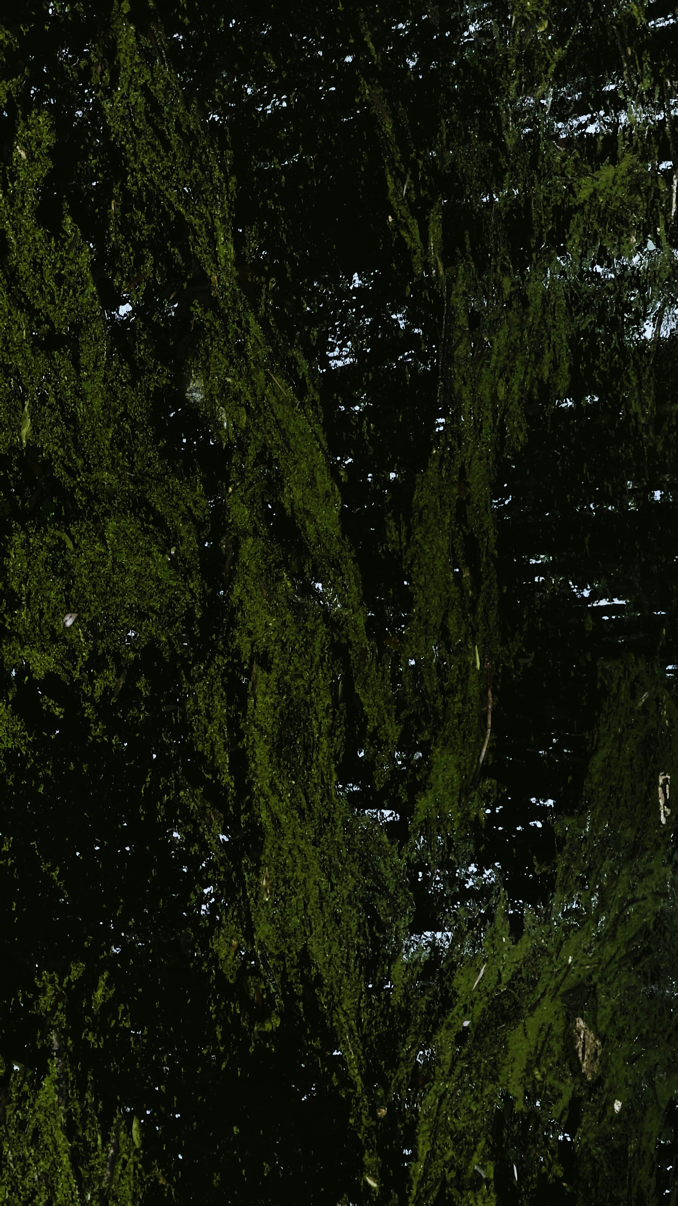 Photo by hanxiaoyaaaaa