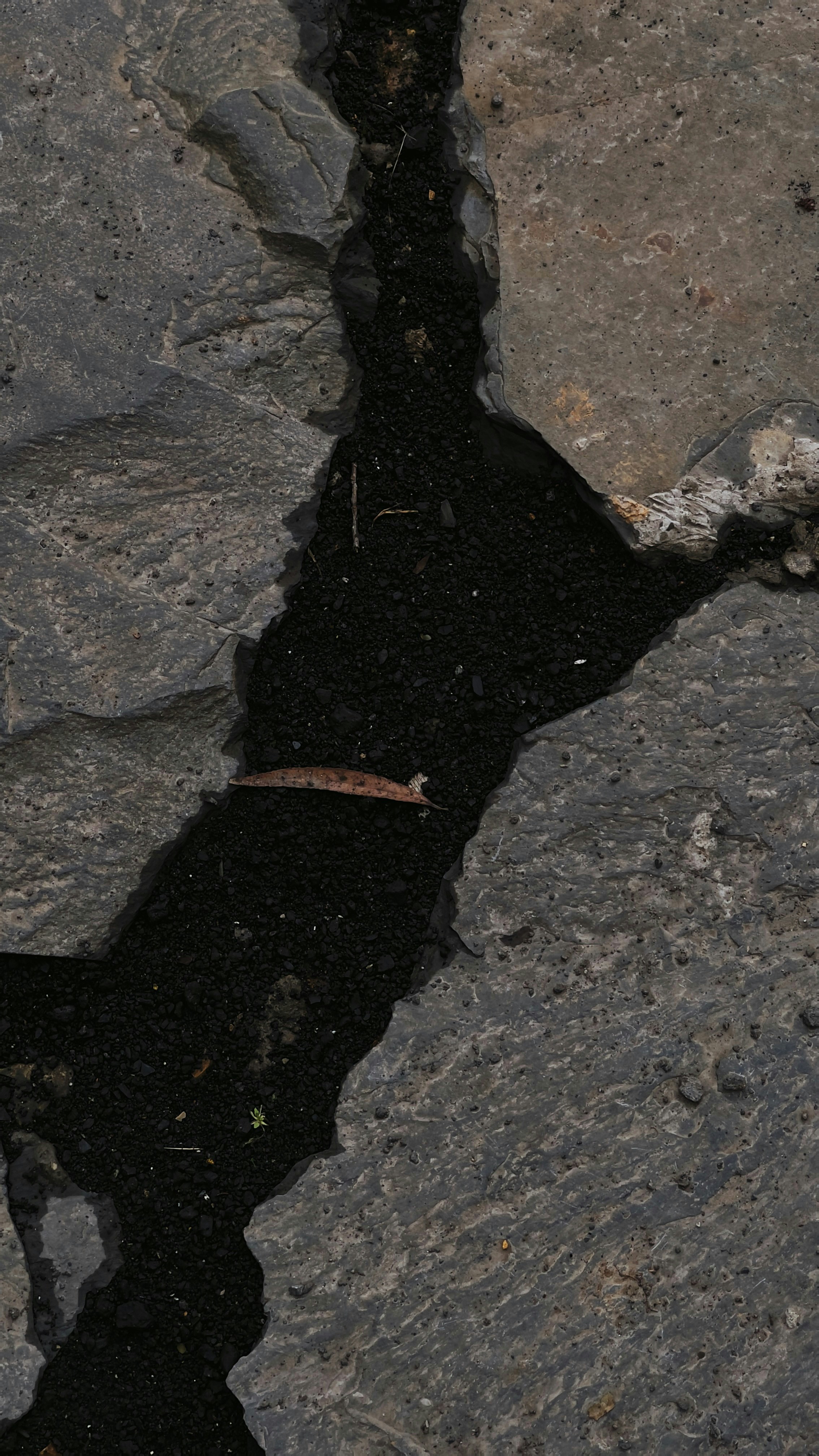 person standing on gray rock