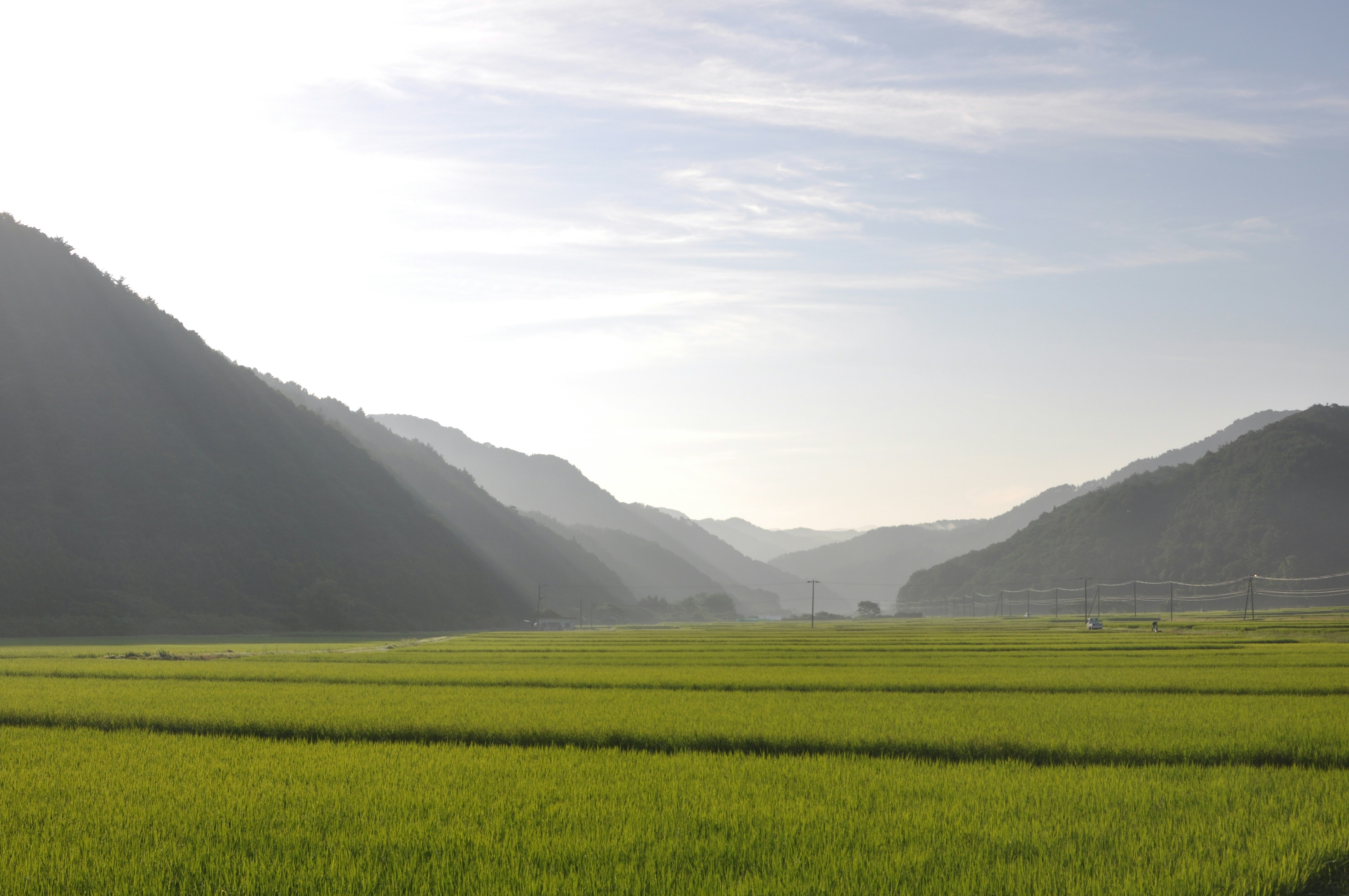 Photo by igarashi_koji