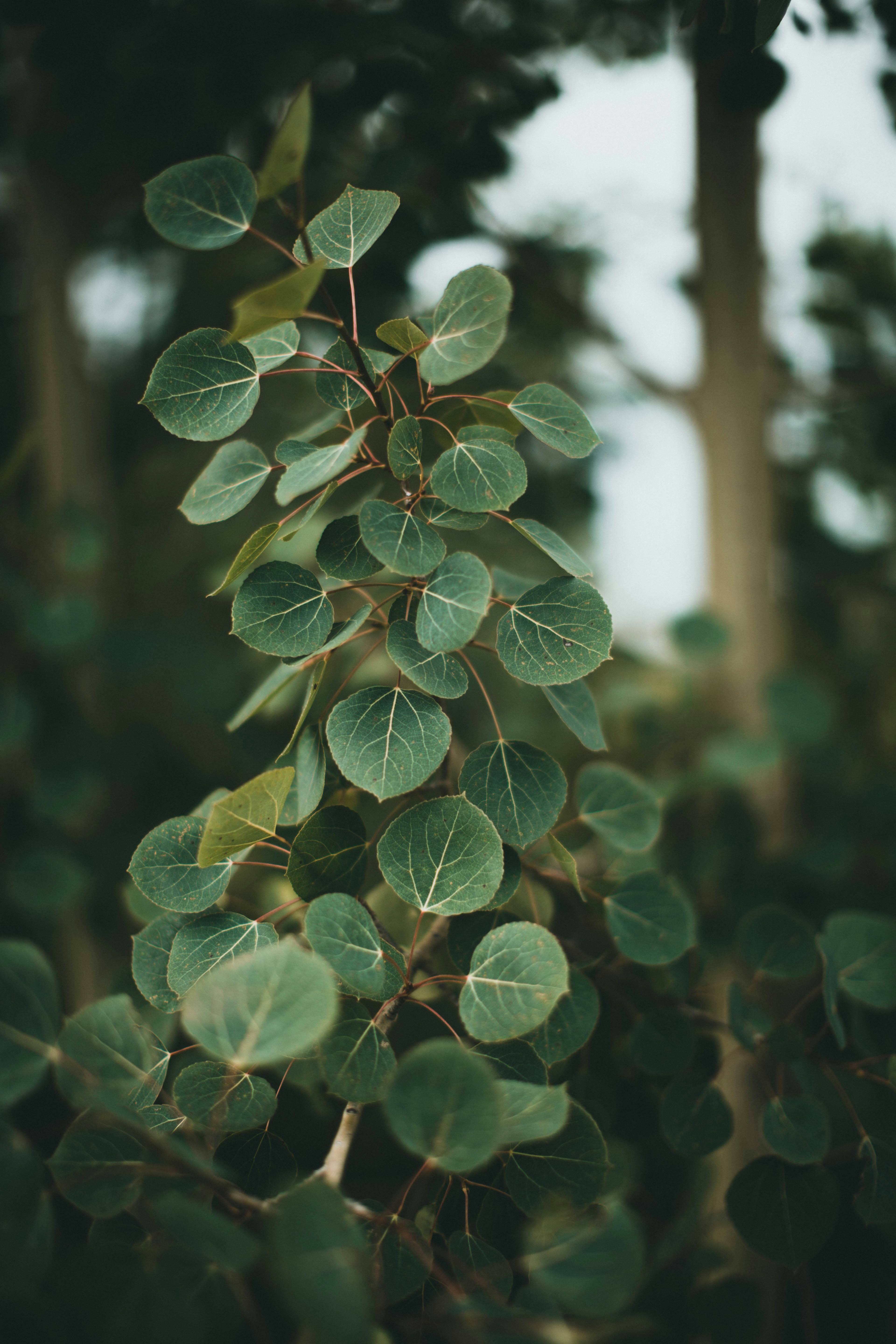 Photo by theshuttervision