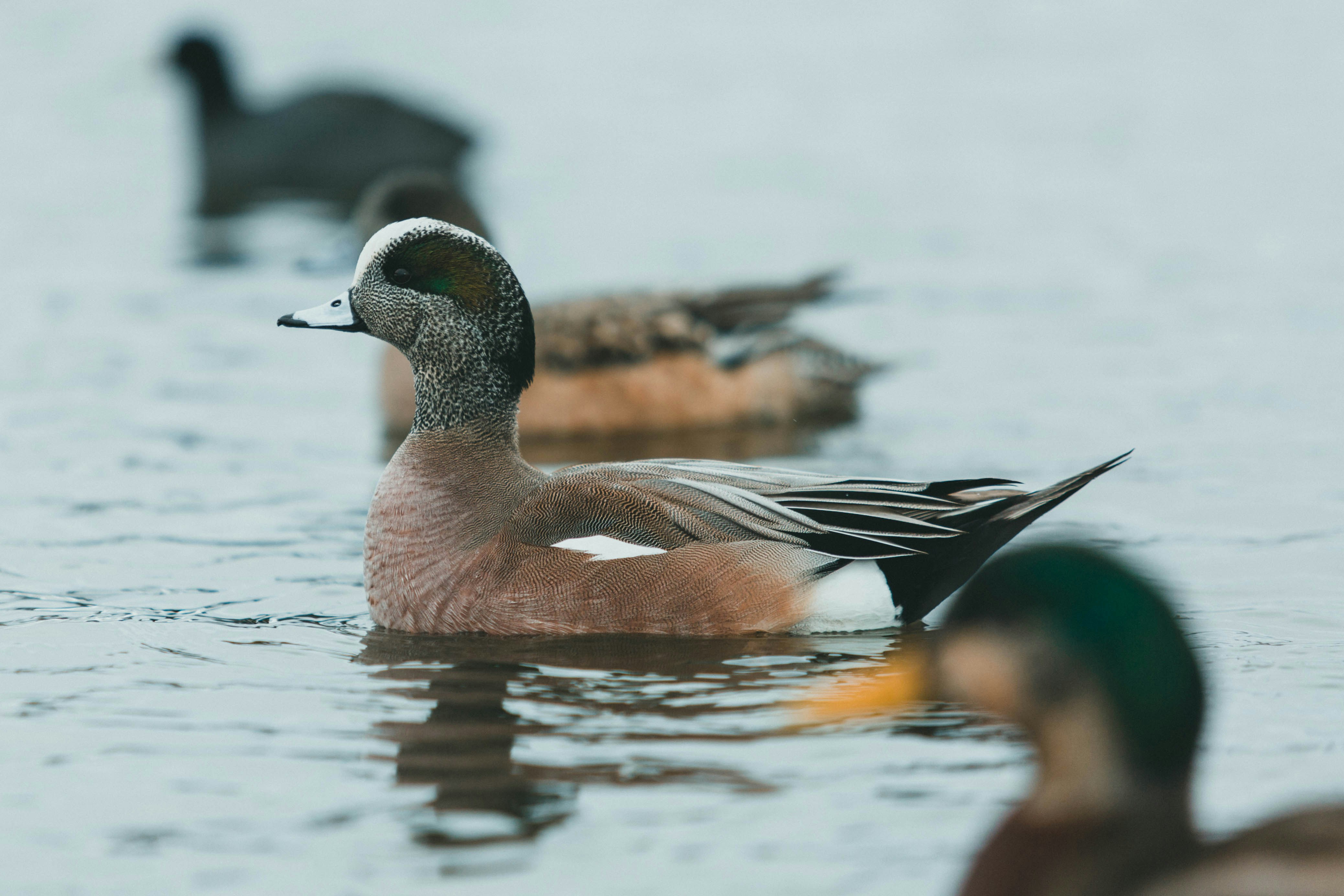 Photo by theshuttervision