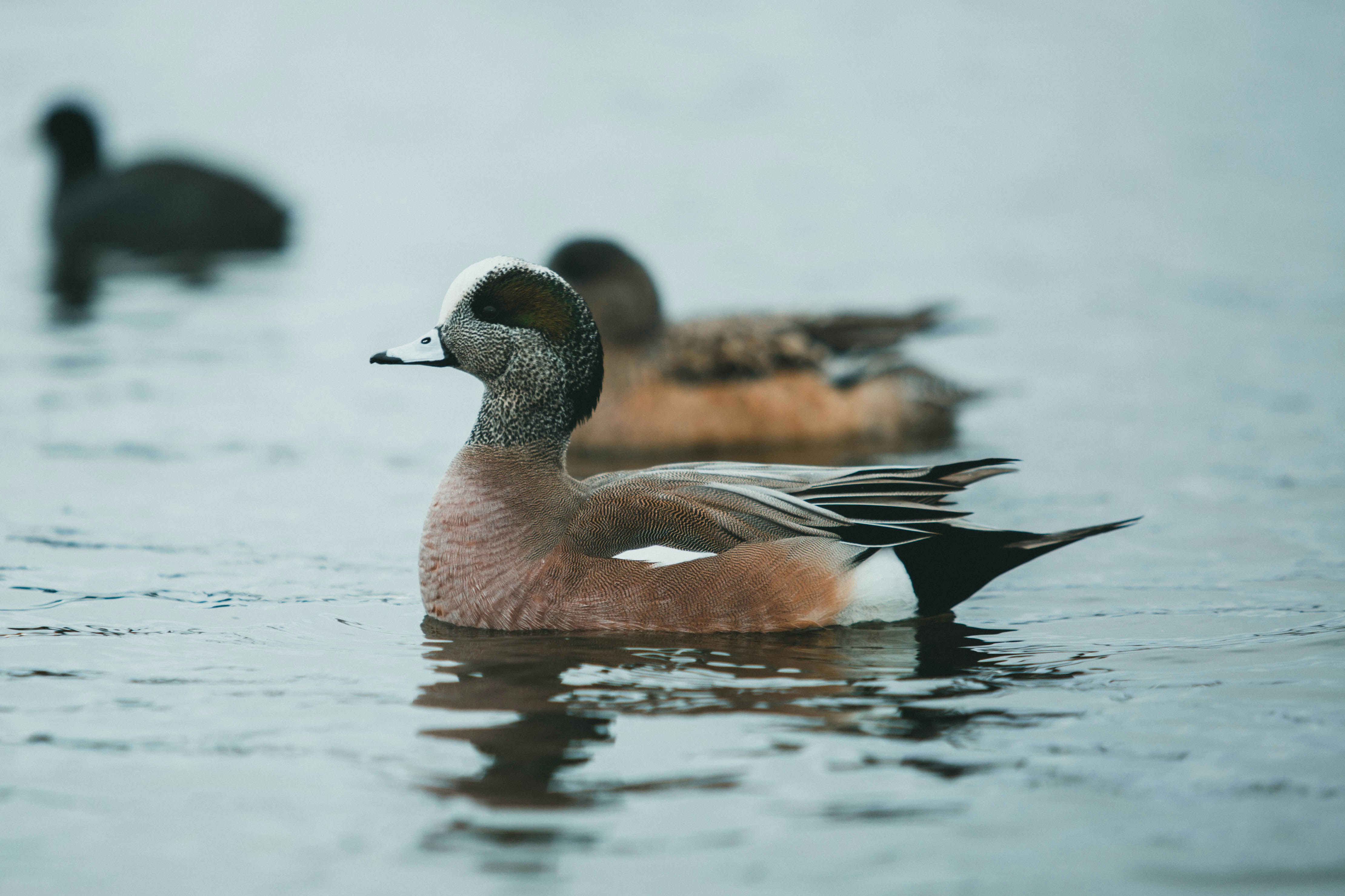 Photo by theshuttervision