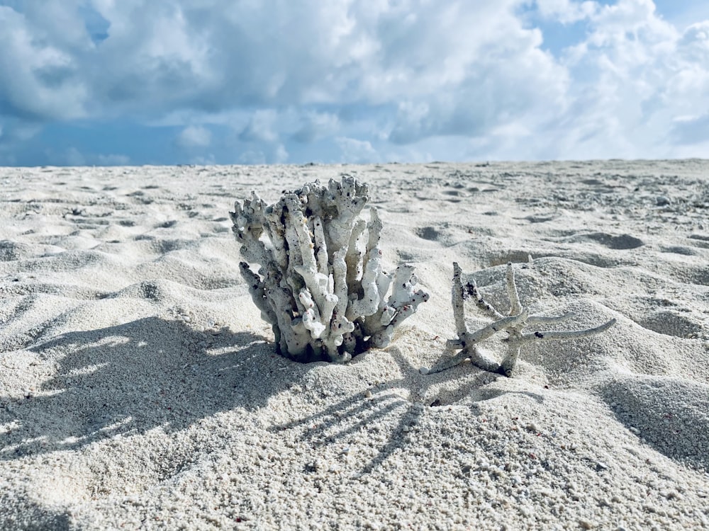 white ice on gray sand under blue sky during daytime