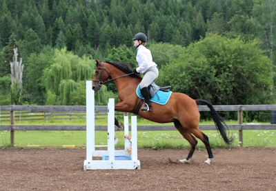 A person is riding a horse which is in the middle of jumping over an obstacle in an outdoor equestrian arena. The rider is wearing a helmet, white shirt, and riding boots. The horse has a brown coat and is equipped with a turquoise saddle pad. In the background, there is lush green foliage and a wooden fence.
