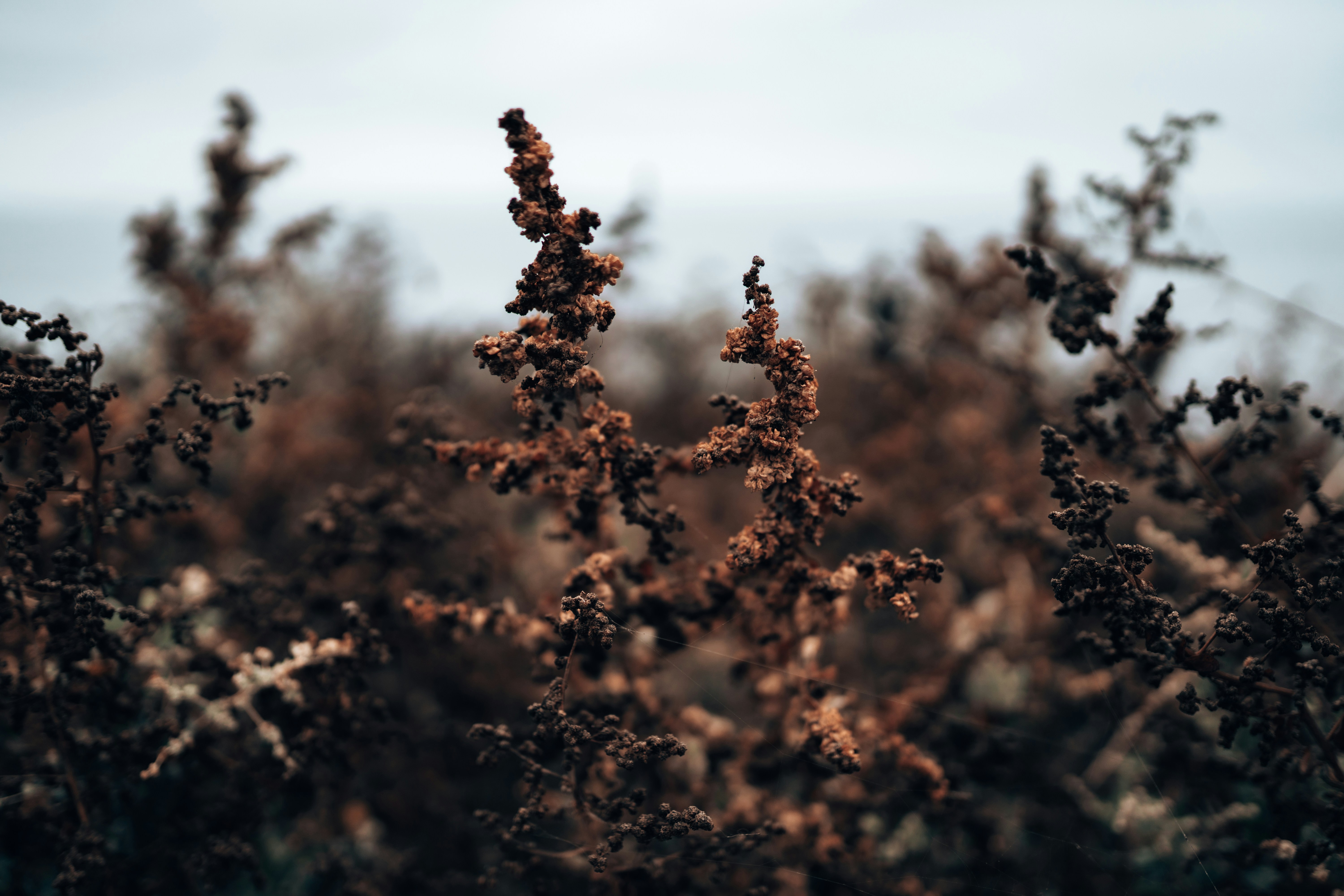 Photo by heyitsjamaal