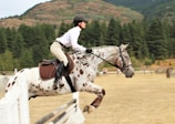 A rider dressed in equestrian gear is skillfully jumping a dappled horse over a fence in an outdoor setting surrounded by green pine trees and mountains.