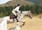 A rider dressed in equestrian gear is skillfully jumping a dappled horse over a fence in an outdoor setting surrounded by green pine trees and mountains.