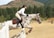 A rider dressed in equestrian gear is skillfully jumping a dappled horse over a fence in an outdoor setting surrounded by green pine trees and mountains.