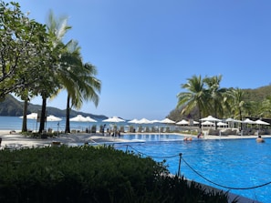 A scenic view of a hotel pool surrounded by palm trees.
