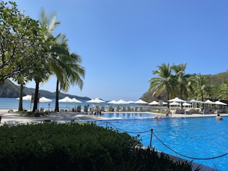 A scenic view of a hotel pool surrounded by palm trees.