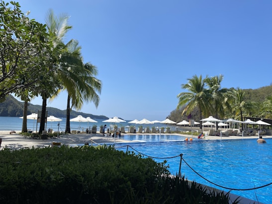 A scenic view of a luxury hotel pool surrounded by palm trees.
