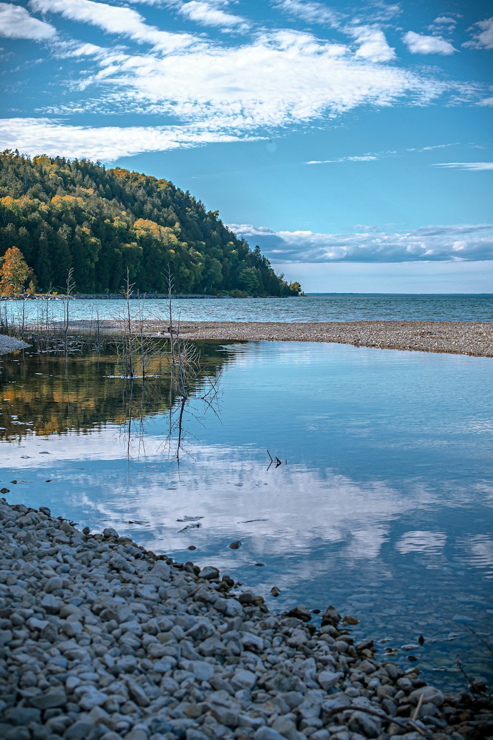 green trees near body of water under blue sky during daytime