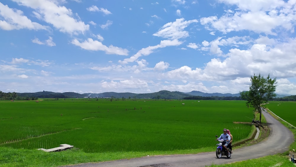 green grass field under blue sky during daytime