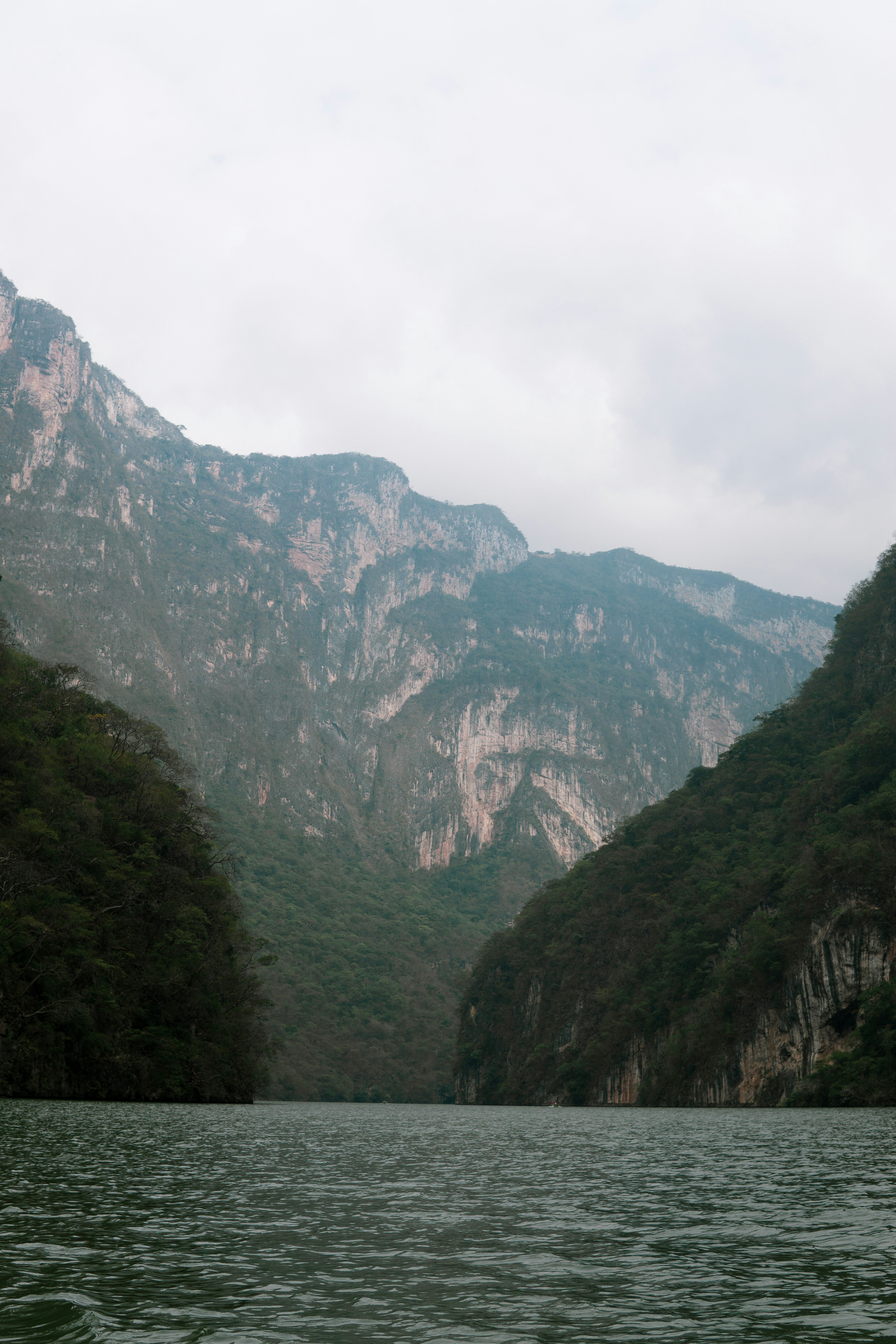 Photo by luis_bautista