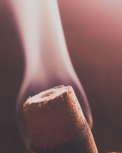 Close-up of hand-rolled incense sticks emitting gentle smoke in a serene temple setting.