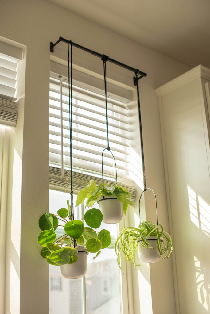 Beige Plant Hanger
