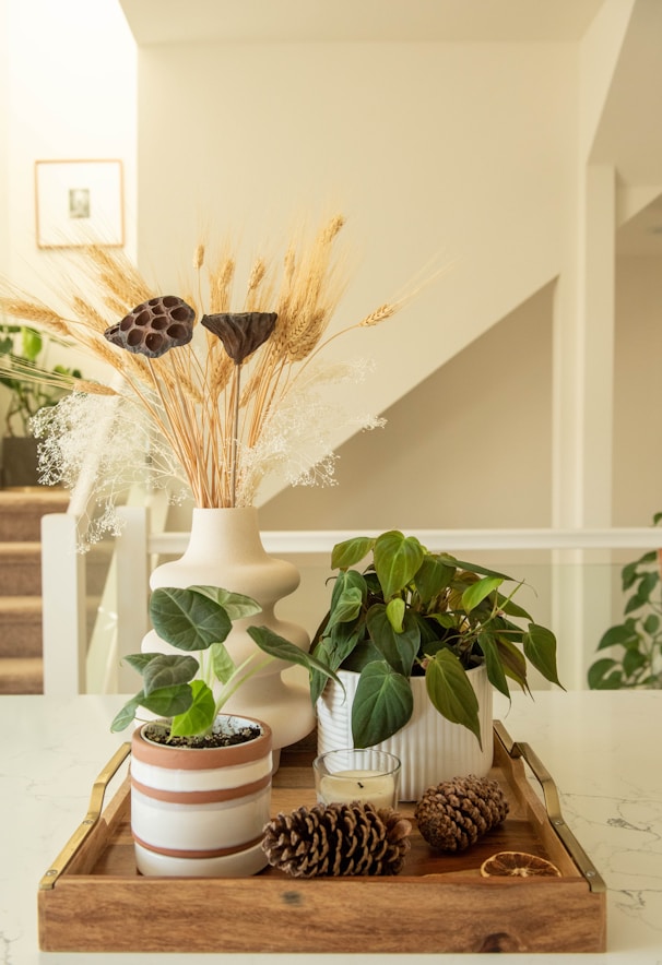 white flowers in white ceramic vase