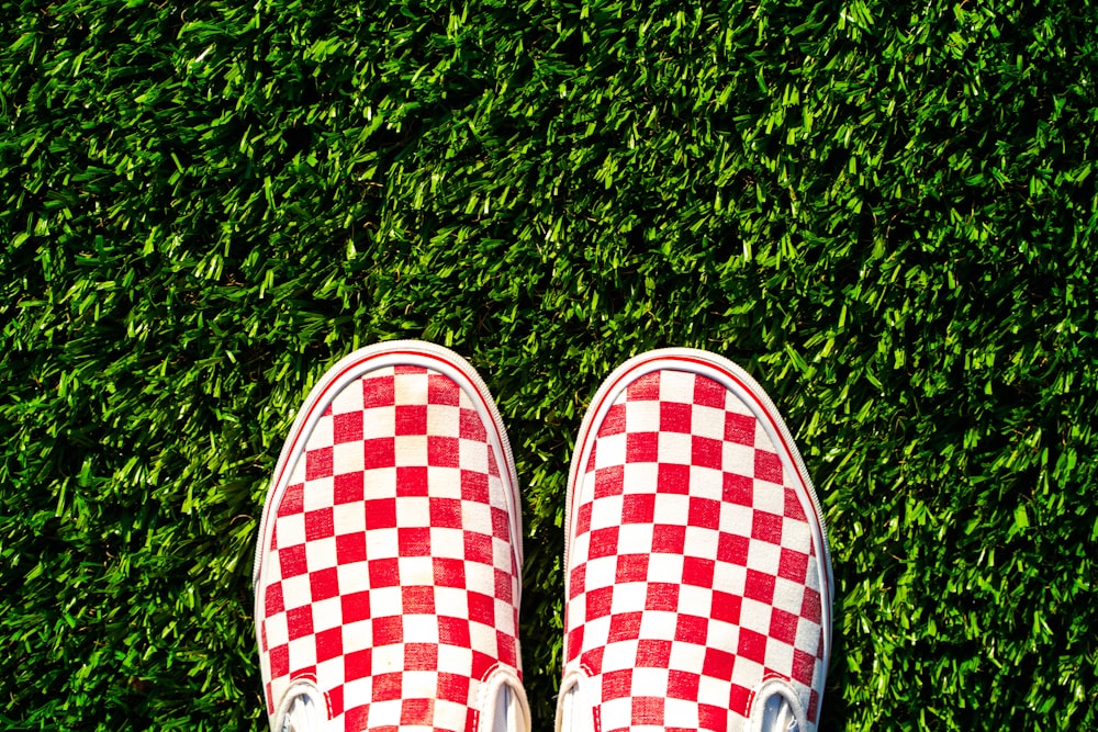 person wearing red and white checkered slip on shoes