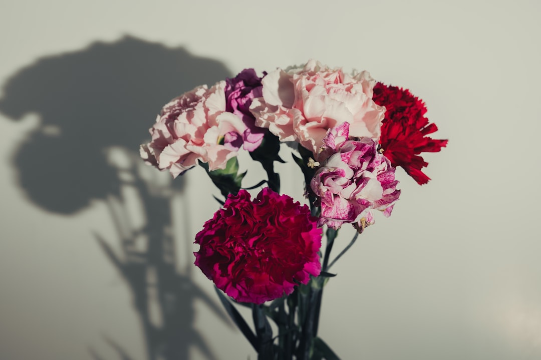 pink and white flowers in clear glass vase