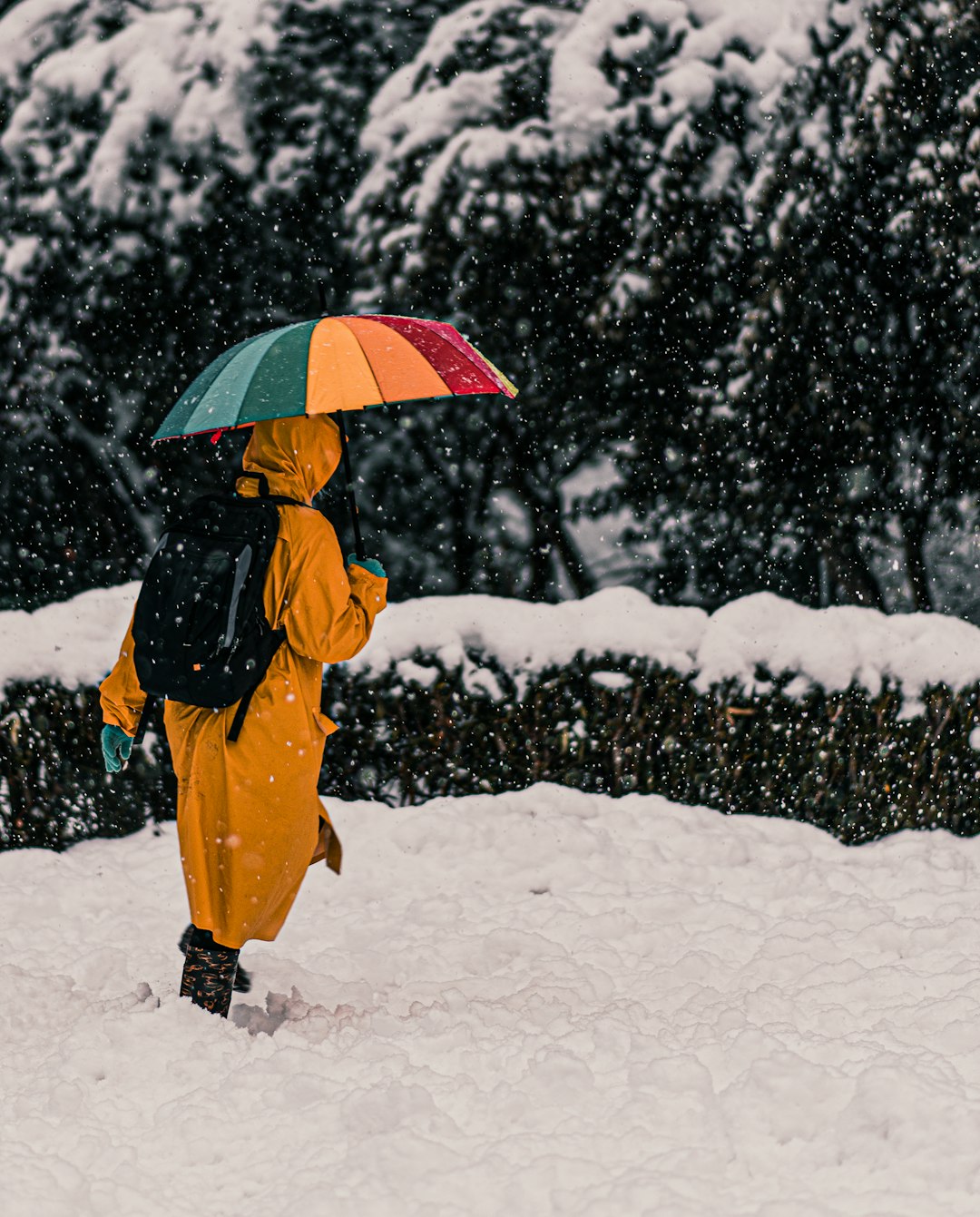 person in yellow coat holding umbrella walking on snow covered ground during daytime