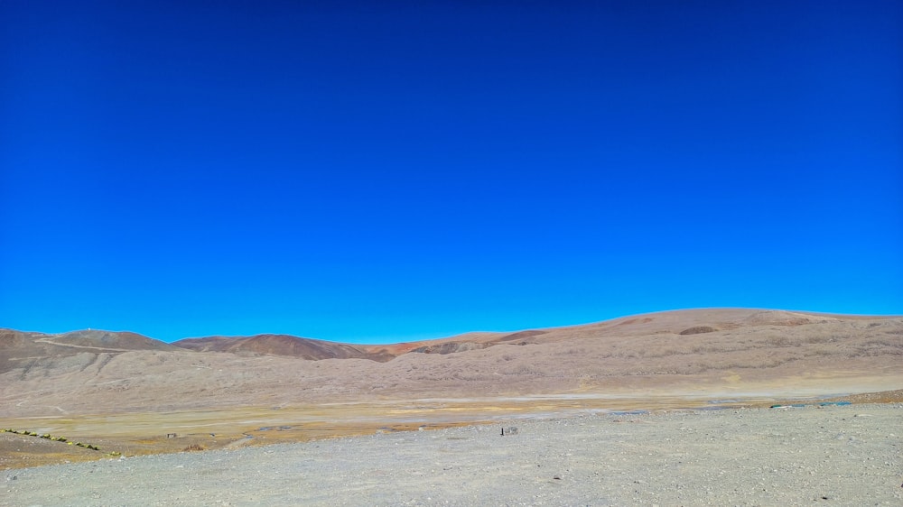 brown field under blue sky during daytime