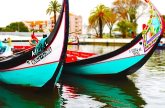 Two brightly colored gondola-style boats, adorned with decorative patterns and text, are docked on calm water. Behind them, palm trees and city buildings can be seen, suggesting a serene and picturesque waterfront setting.