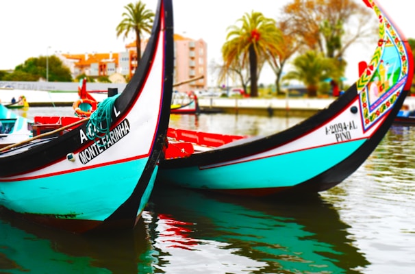 Two brightly colored gondola-style boats, adorned with decorative patterns and text, are docked on calm water. Behind them, palm trees and city buildings can be seen, suggesting a serene and picturesque waterfront setting.