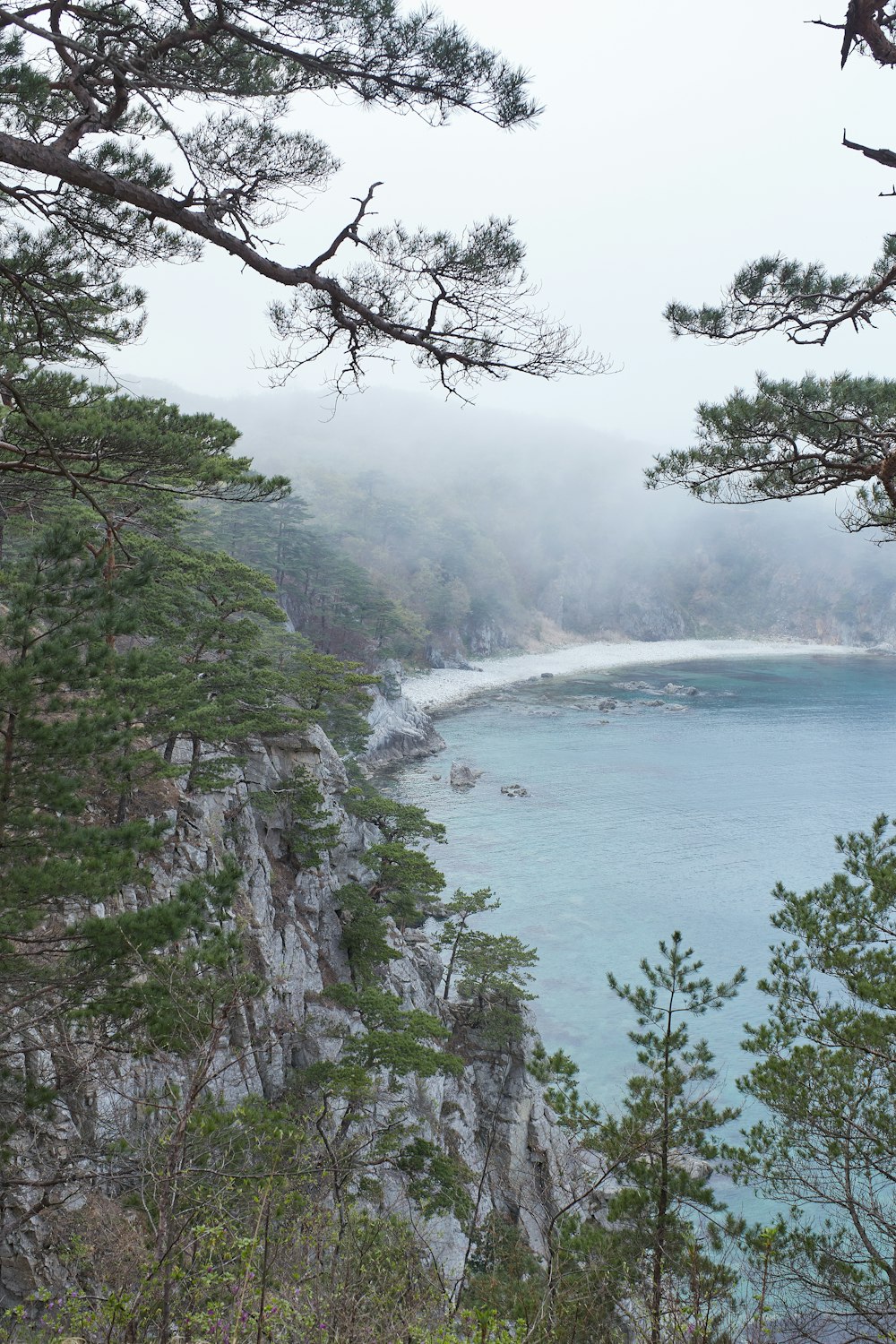 green trees on mountain beside sea during daytime