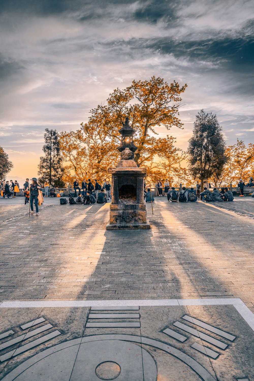 people walking on park with trees during daytime