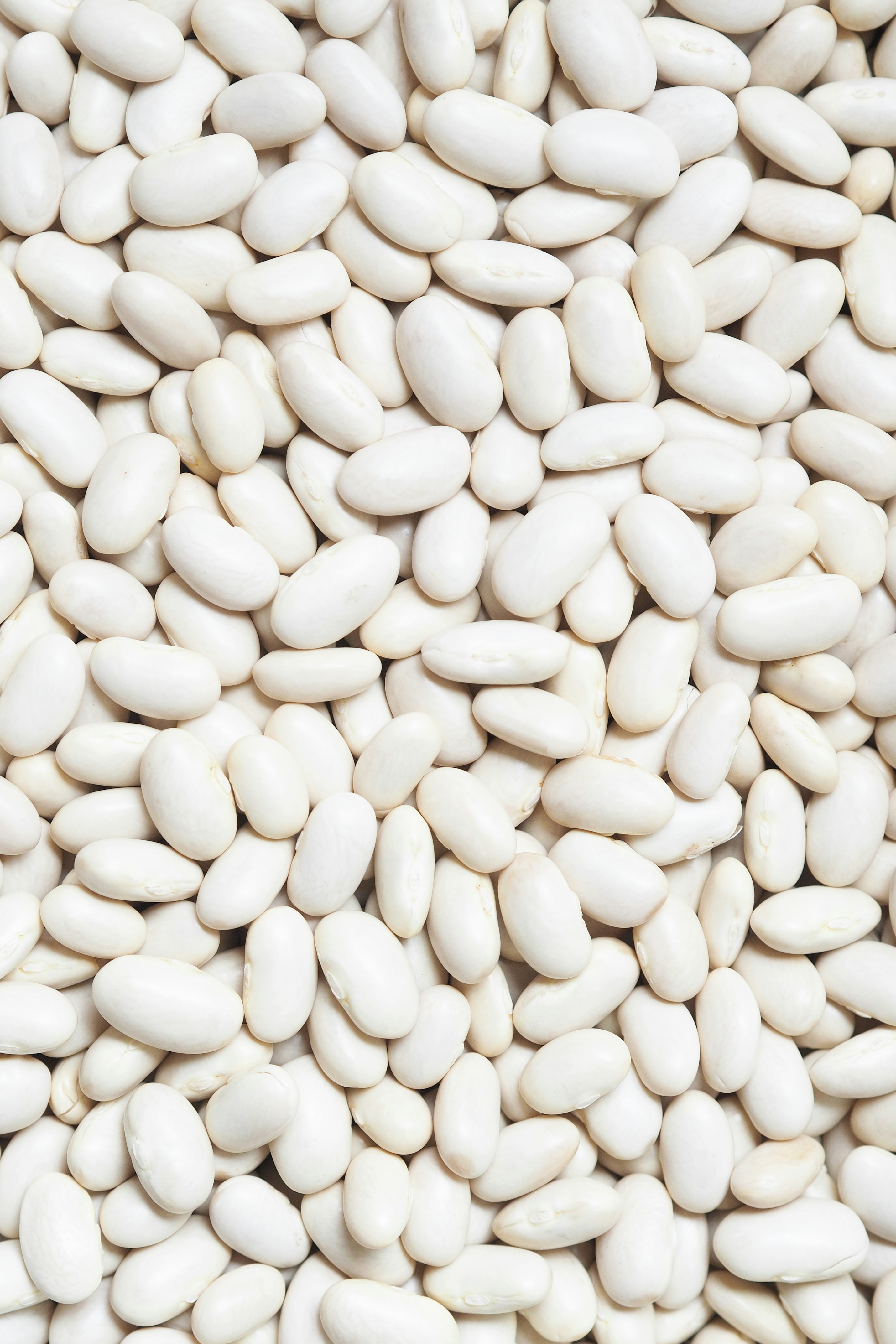Fagioli Cannellini e Borlotti: Proprietà, Benefici e Ricette