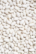 Premium Turkish Beans for wholesale buyers and exporters