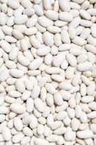 Premium Turkish Beans for wholesale buyers and exporters