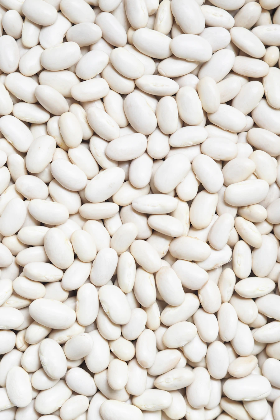 Navy Beans